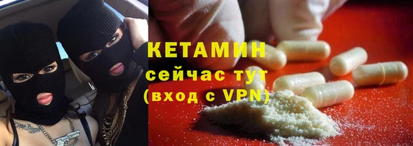стаф Алзамай