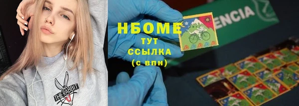 стаф Алзамай