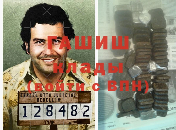 стаф Алзамай